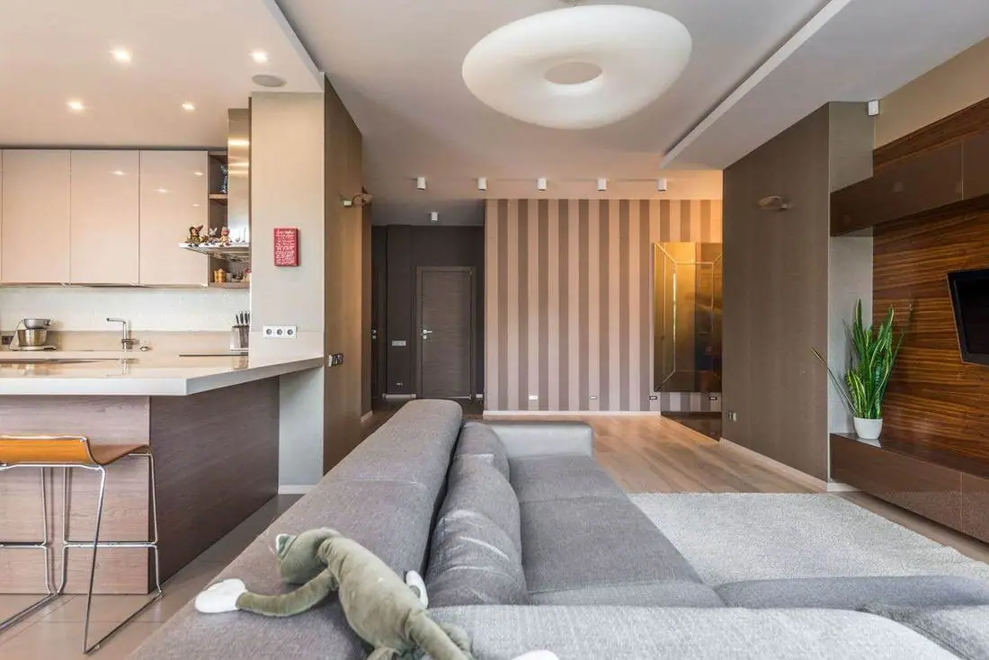 Salon ve açık mutfak (temsili fotoğraf)